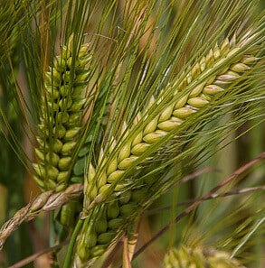 Made confident bigger chance as.